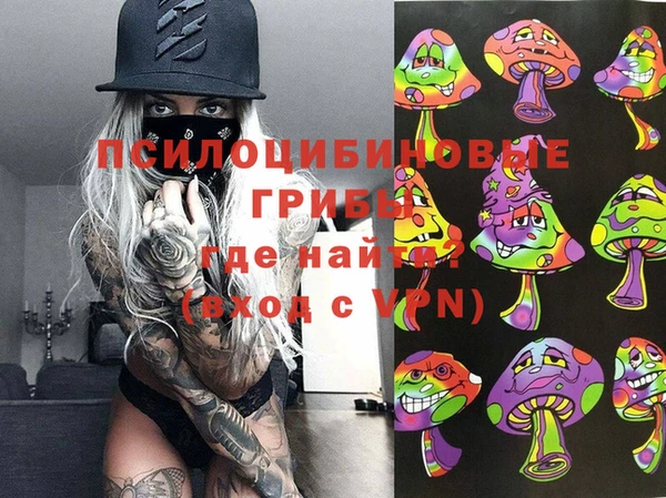 apvp Новозыбков