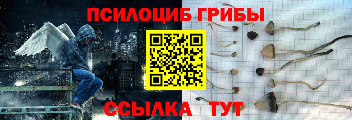 Галлюциногенные грибы GOLDEN TEACHER  Вход с VPN  купить   Россия  Псилоцибиновые грибы Cubensis 