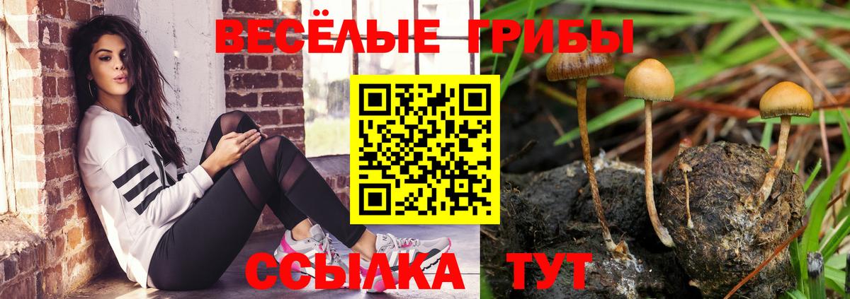 Псилоцибиновые грибы мухоморы Россия